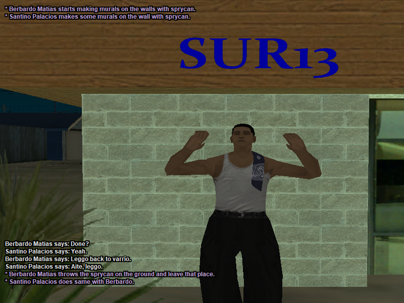 ss-4.png