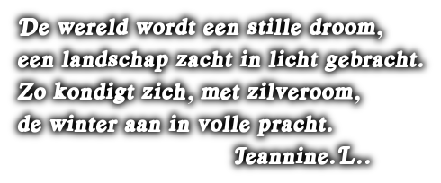 cooltext497235594079539