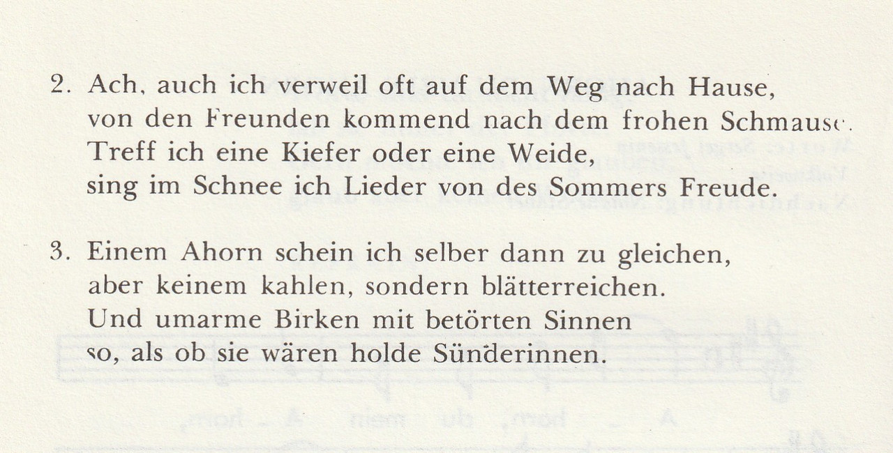 Ahorn_2