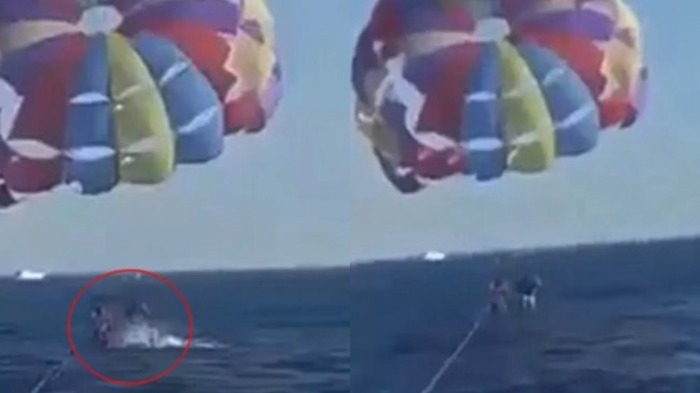 Tangkapan layar rekaman seorang pria yang asyik bermain parasailing tiba-tiba diserang hiu.