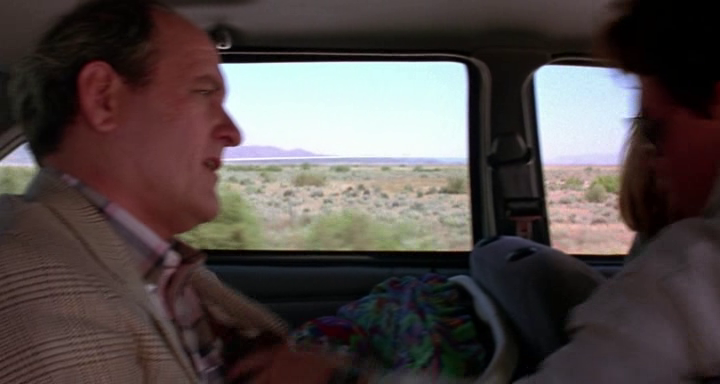 vlcsnap-2023-08-13-16h07m29s800