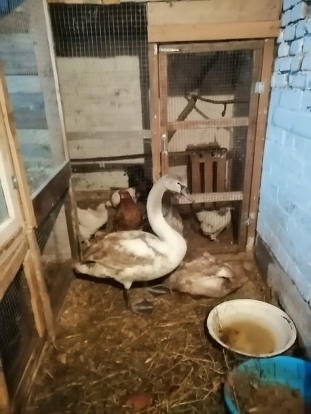 7E0DAFDD-6F8F-48A0-8CBD-14B1C02BF0FB