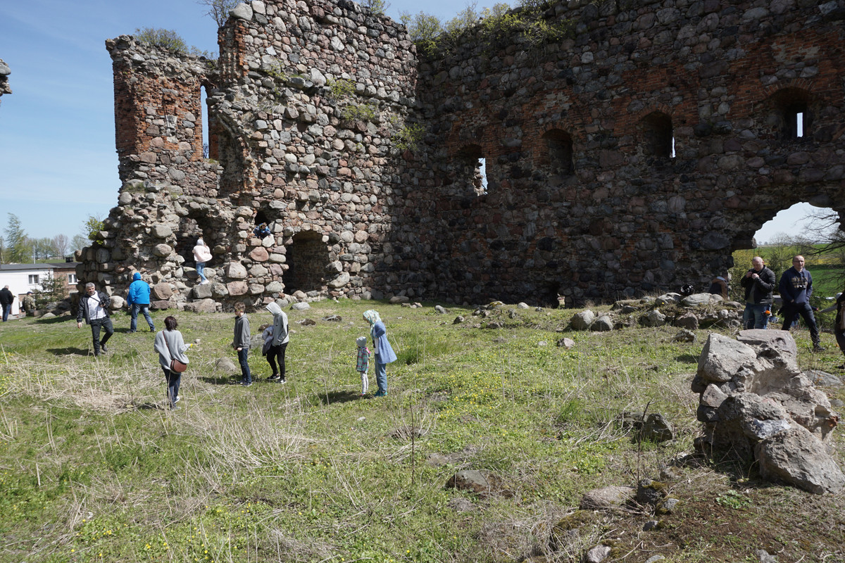 19.31 - DSC07952 (zbychowiec)