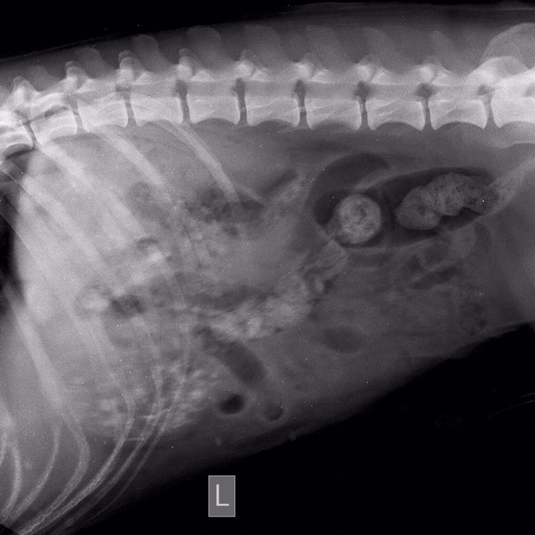 AF68CB8C-CCE4-4302-9470-C2809C279CEB