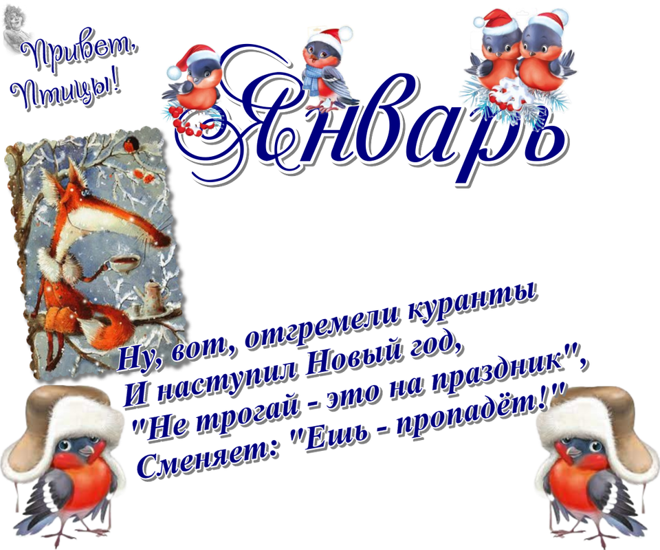 https://i.postimg.cc/FKTbFDR1/04-01.png