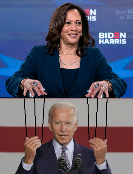 harrisbiden.png