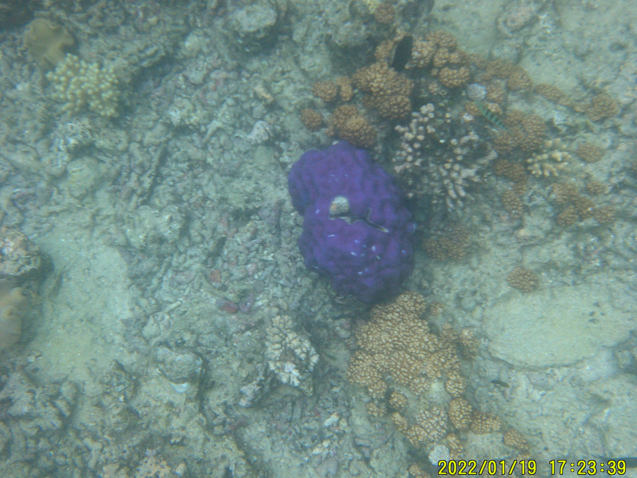 DSCF0044