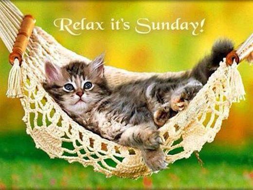 SUNDAY-dimanche-22