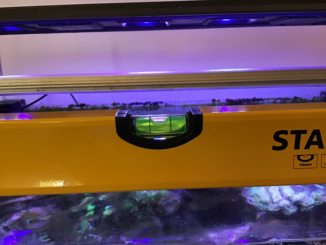 653351B6-1848-4227-B1CE-F38217FE3688