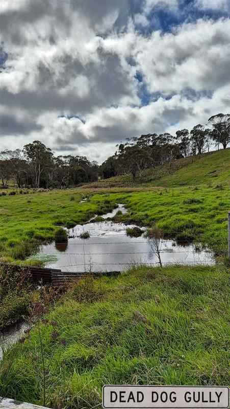 Dead Dog Gully