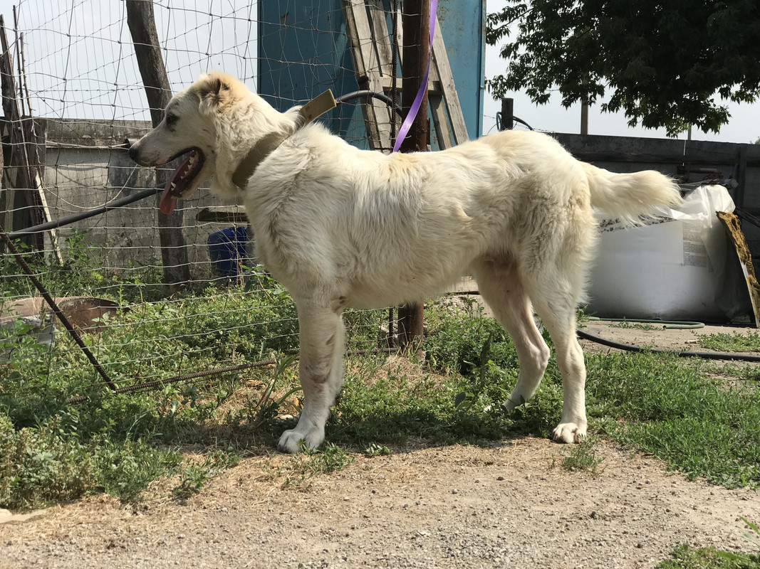 8FAF5818-D1EB-46FF-9D2C-17CBB60DFB52