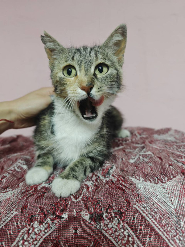 jPjQ8jFn8WglPdV5RRXd6uFII-SrwabeRASzzHmNGFSx1wrM7cCHHhDT5YVJ-2ANqqn6ZqUV6MdJhuKRrd5kpINB