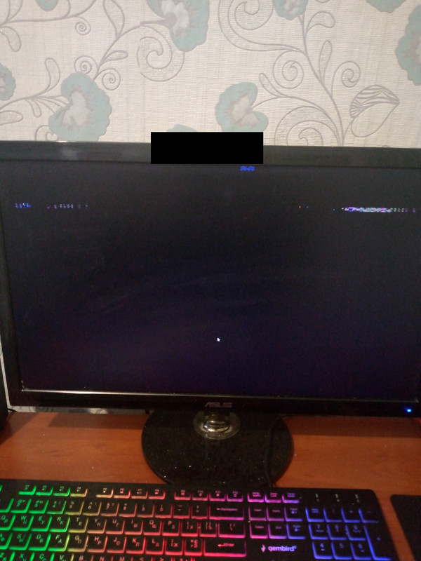 IMG_20250301_134022_387