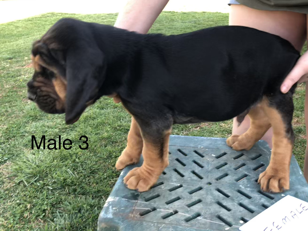 7E720890-A074-4EE0-9C14-C2D0228145C3