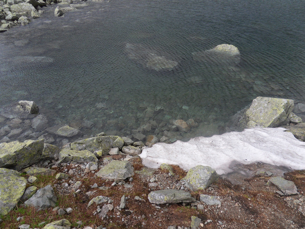 063 - SDC14012 (Czesio1)