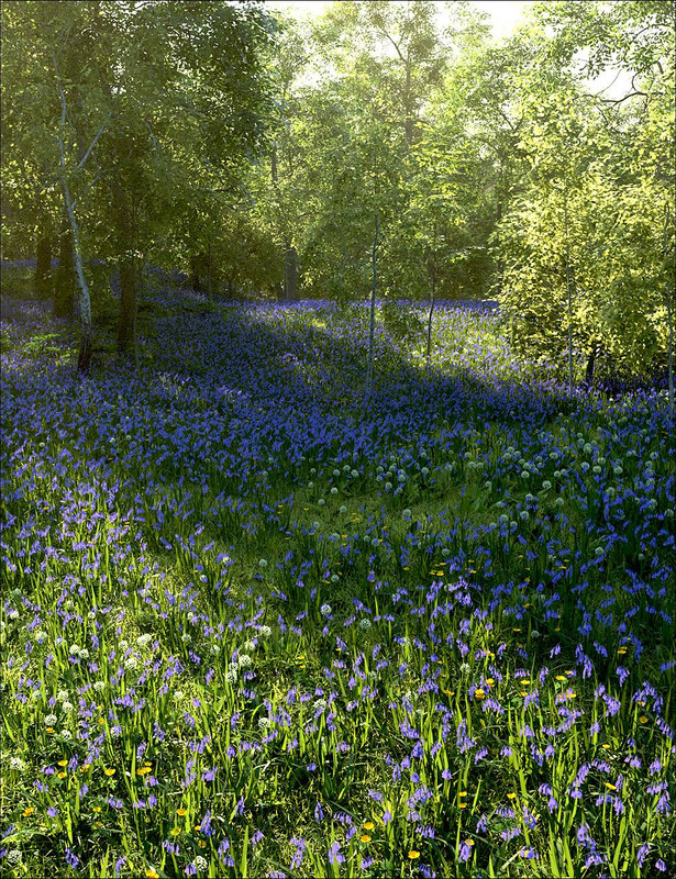 Britain Botanica - UnderStory Britain Botanica - UnderStory