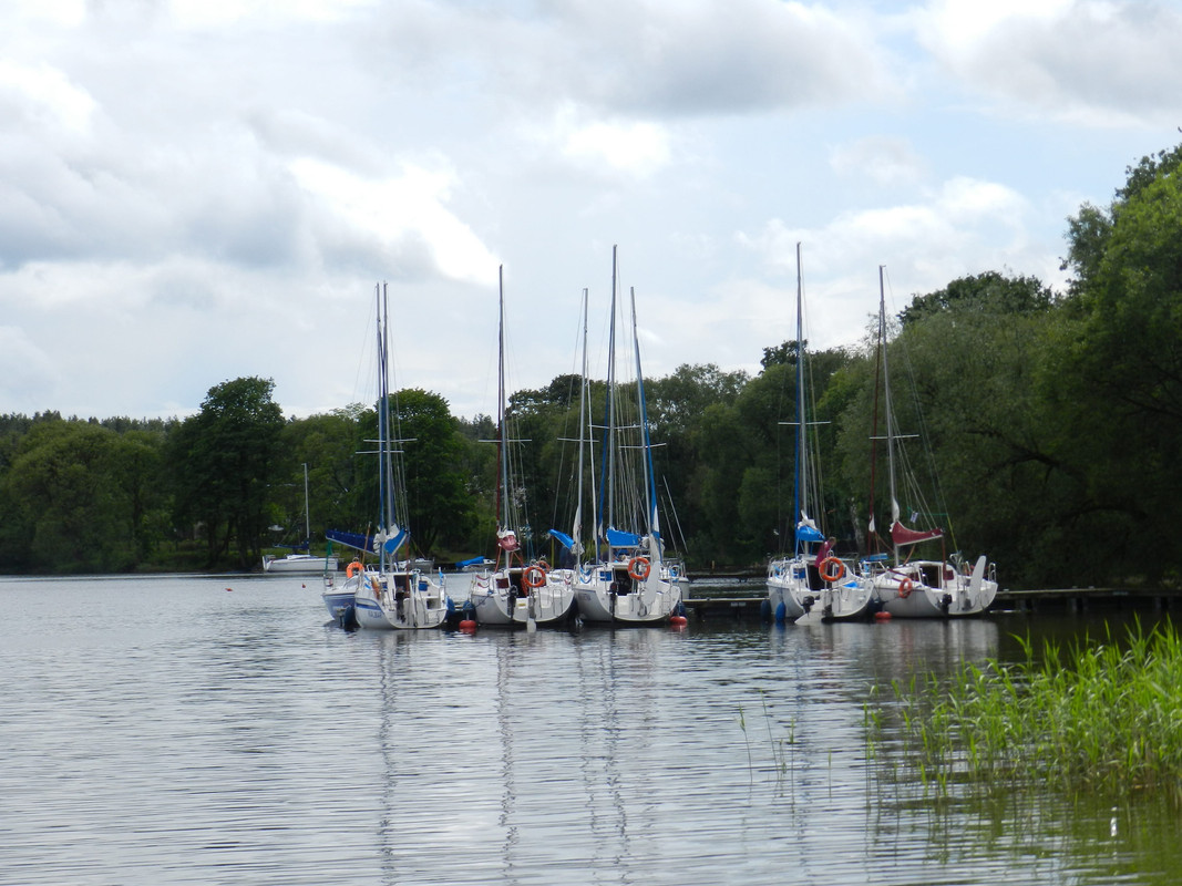 12 - Brakujące miejsce dla Krasuli (Aldona)