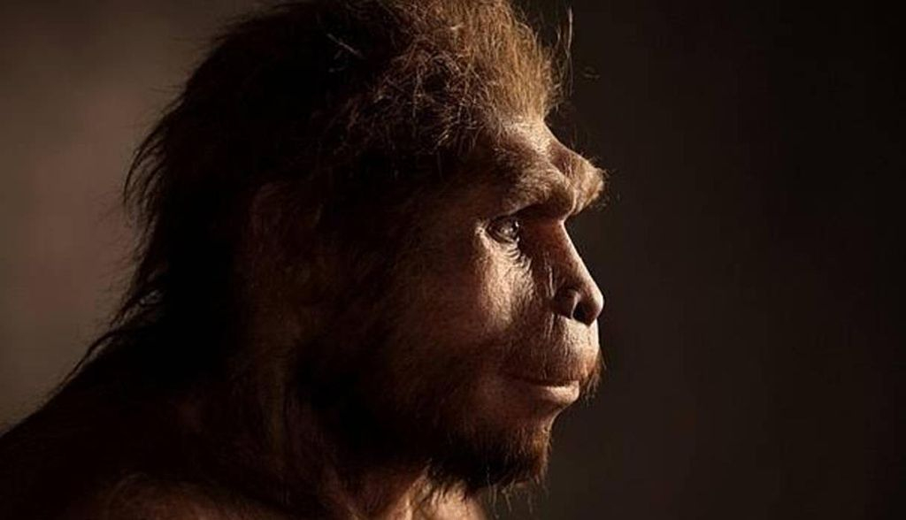 Fósiles de Homo sapiens de Etiopía tienen mucho más antigüedad de la calculada