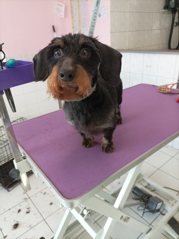 [Image: IMG-20231115-174752.jpg]