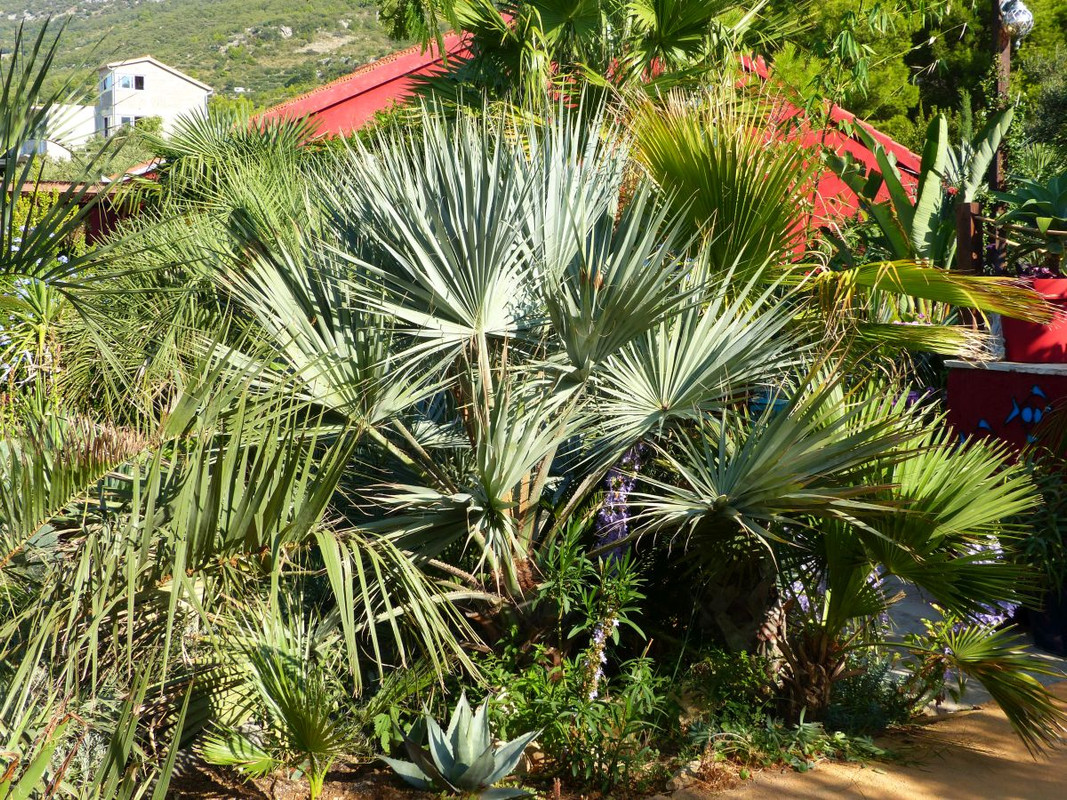 P1240202