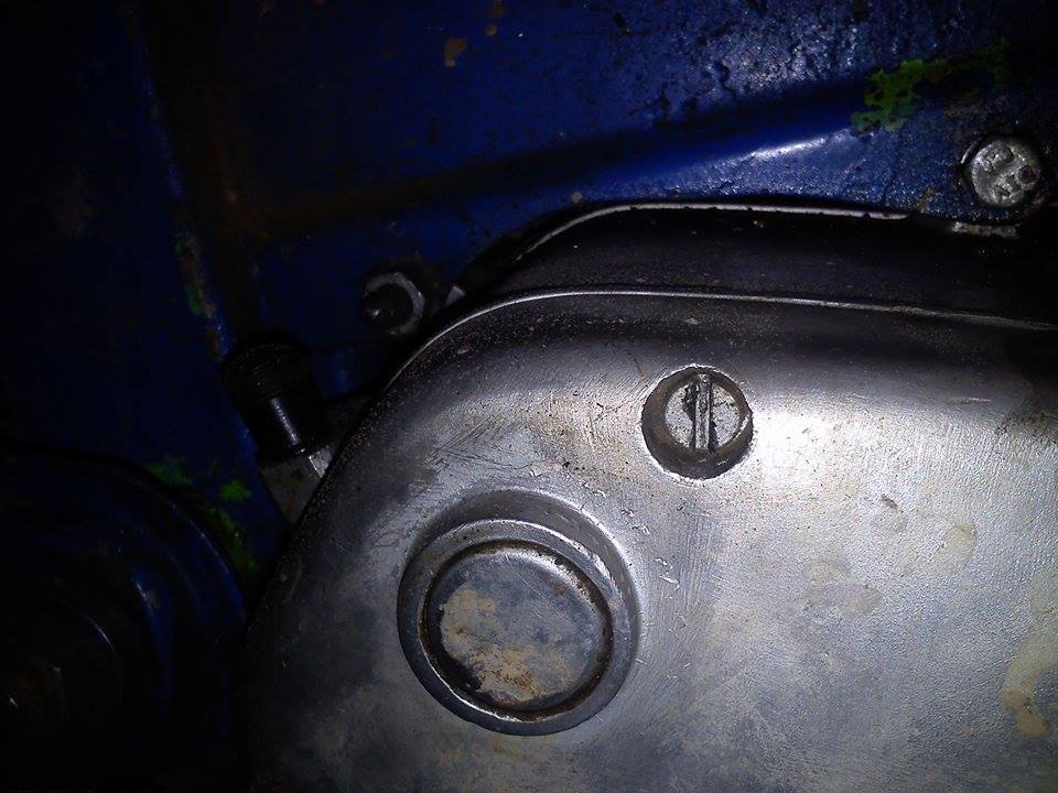 12167227_1473135922995813_1656602941_n