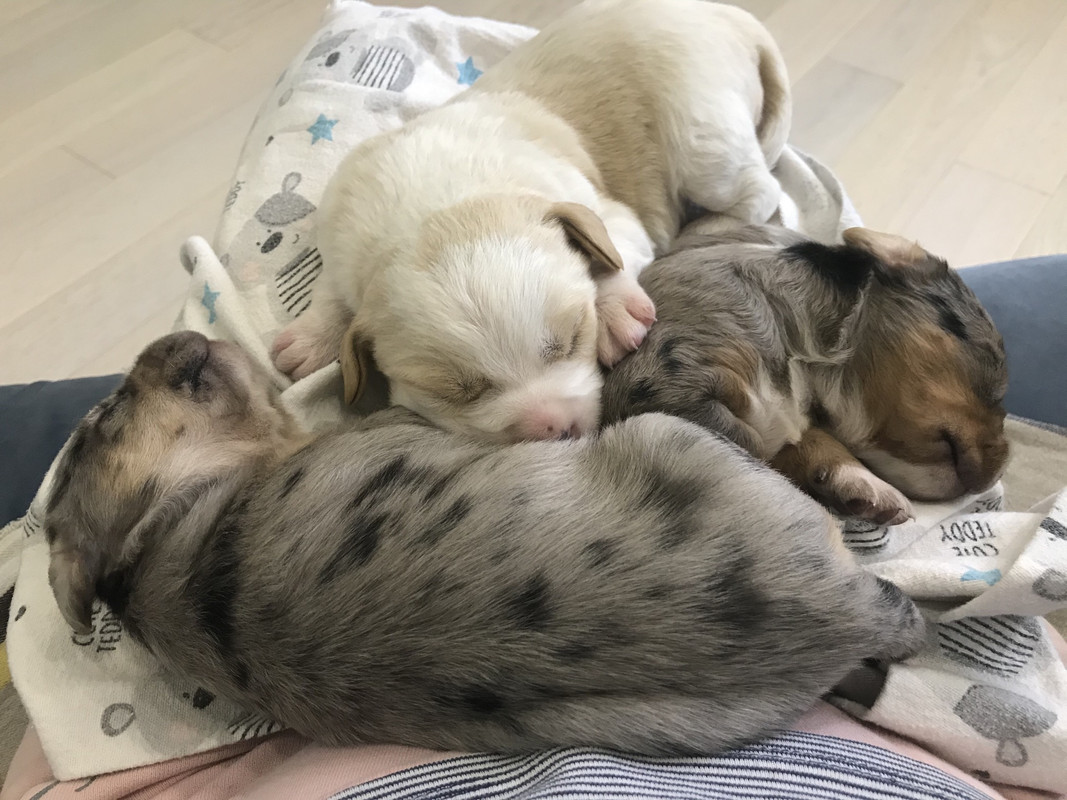 460E9A44-CADA-4683-B659-4785A6C30017