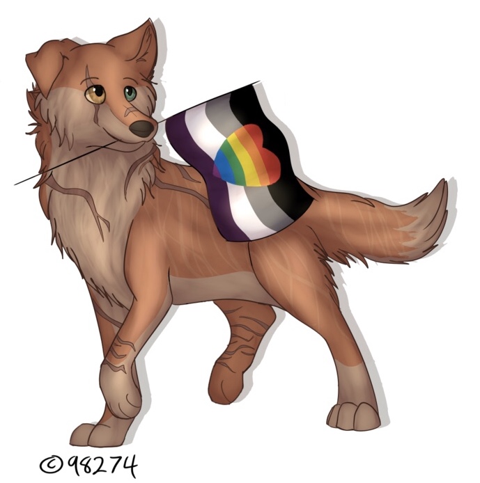 50A28B69-4D54-4CC6-8AD2-D82FD121ABD6