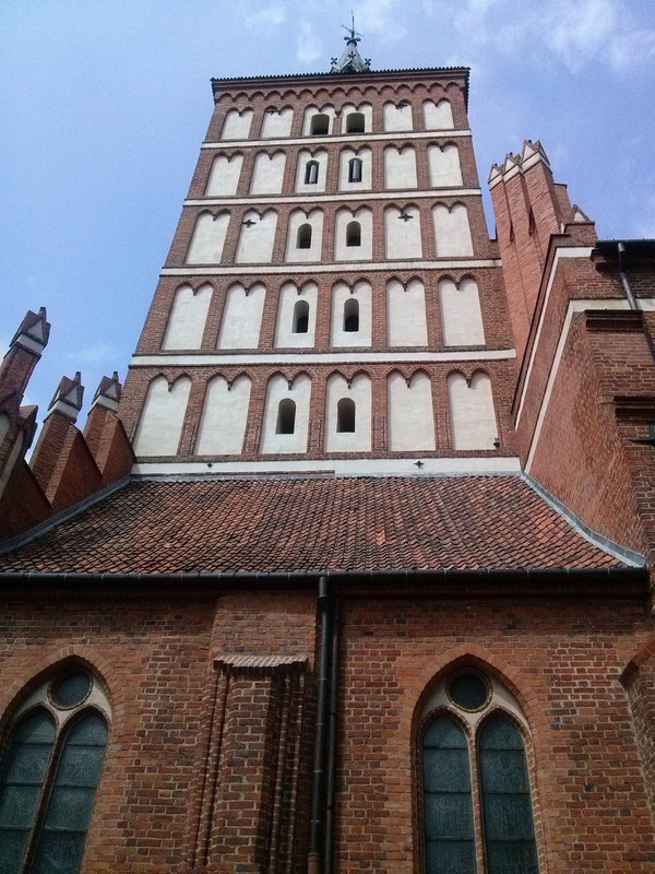 05 - CAM03454 (panna Monika)