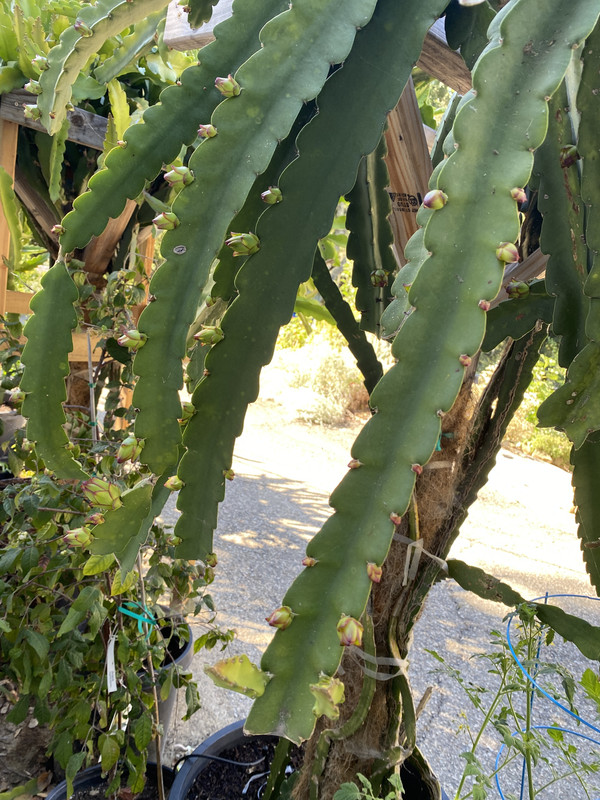 5AB56E4E-8AFF-4F75-98E4-6D50EAB9EF83