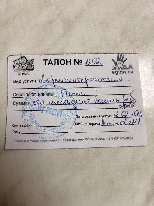 IMG 82c6f2992817d45b448ca19887fe0868 V