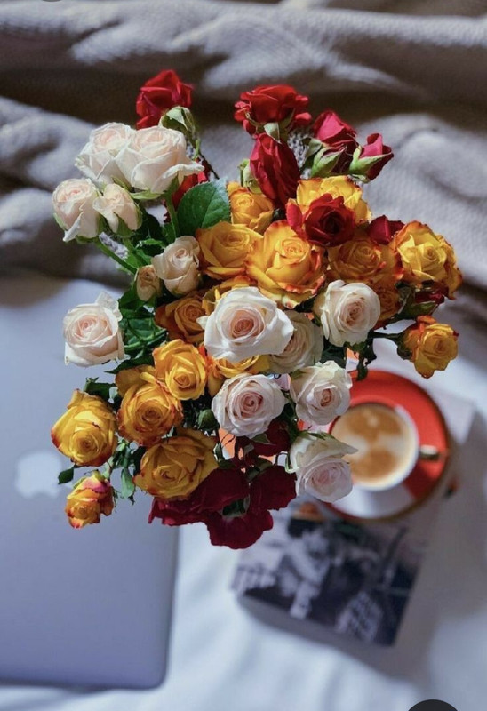 Screenshot_20230227_234317_Pinterest