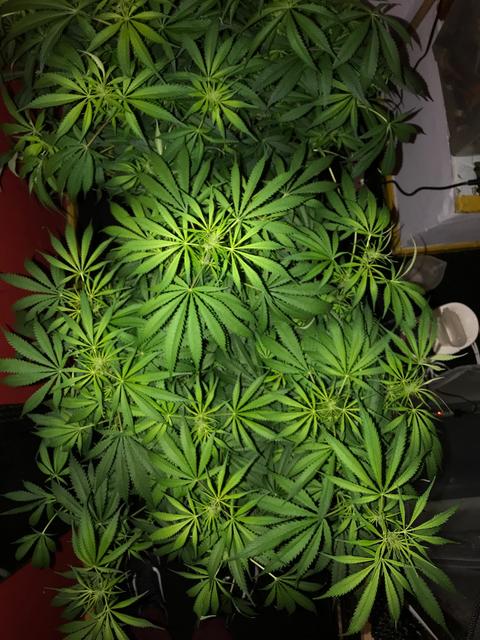 A88FA918-9AA0-4D60-B2CB-549D783C8B6D