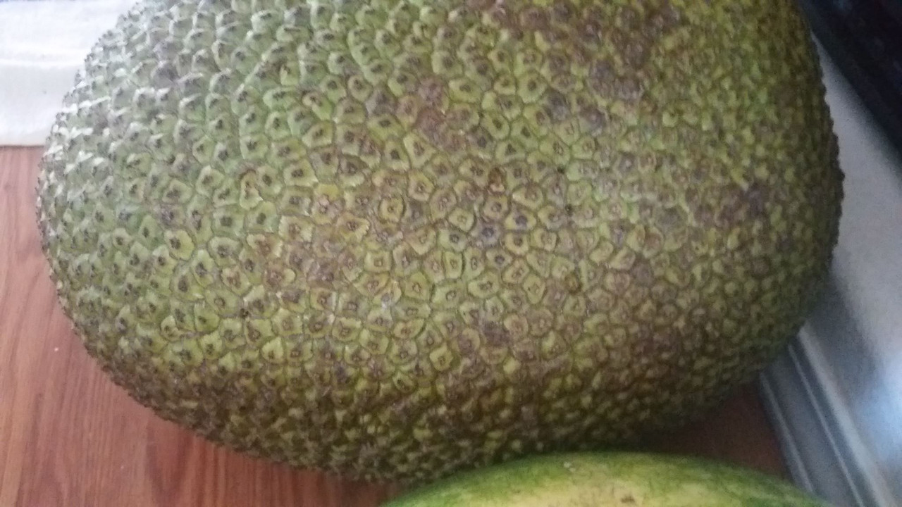 [Image: 33022028-2349379095077549-8438996307208568832-o.jpg]