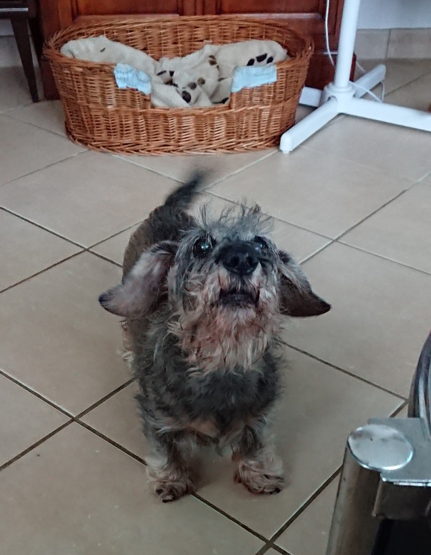 [Image: 20231201-233635.jpg]