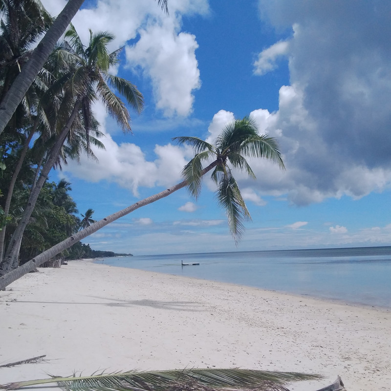 La mia vita. Римские записки, дневник онлайн