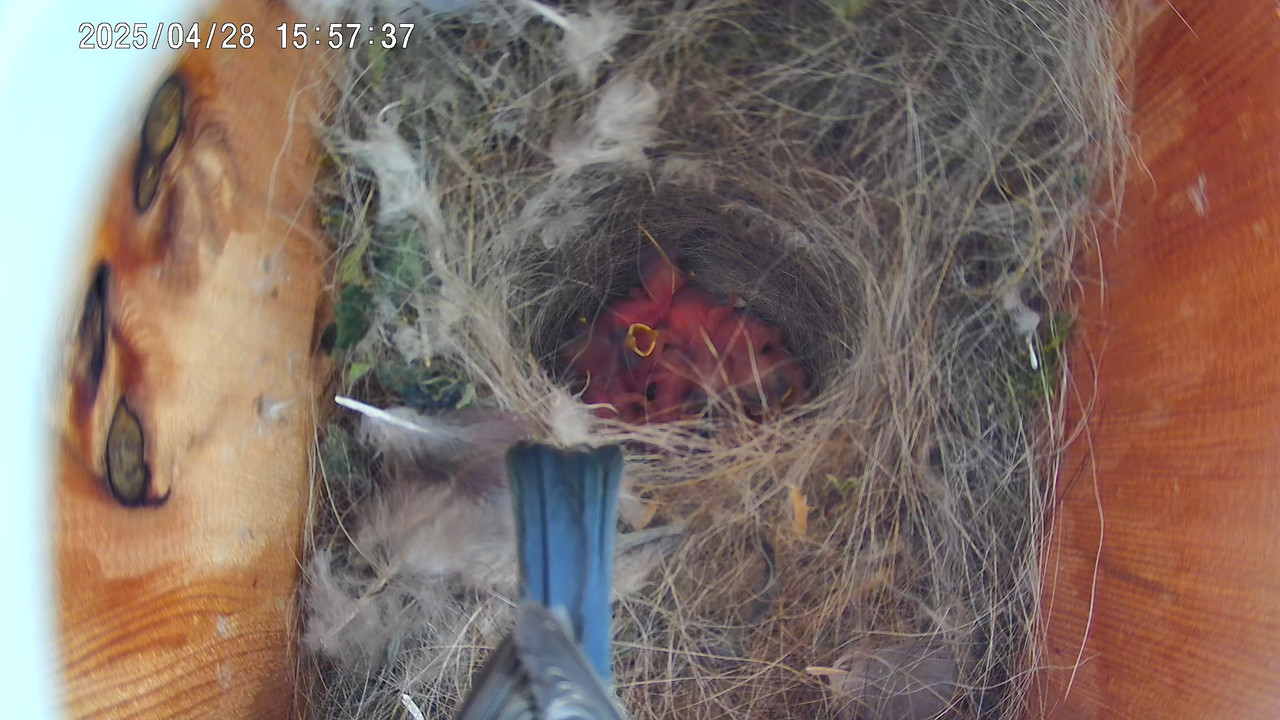 174585225751912 (1)(1)