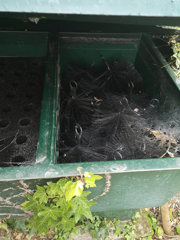 received_289767525777467