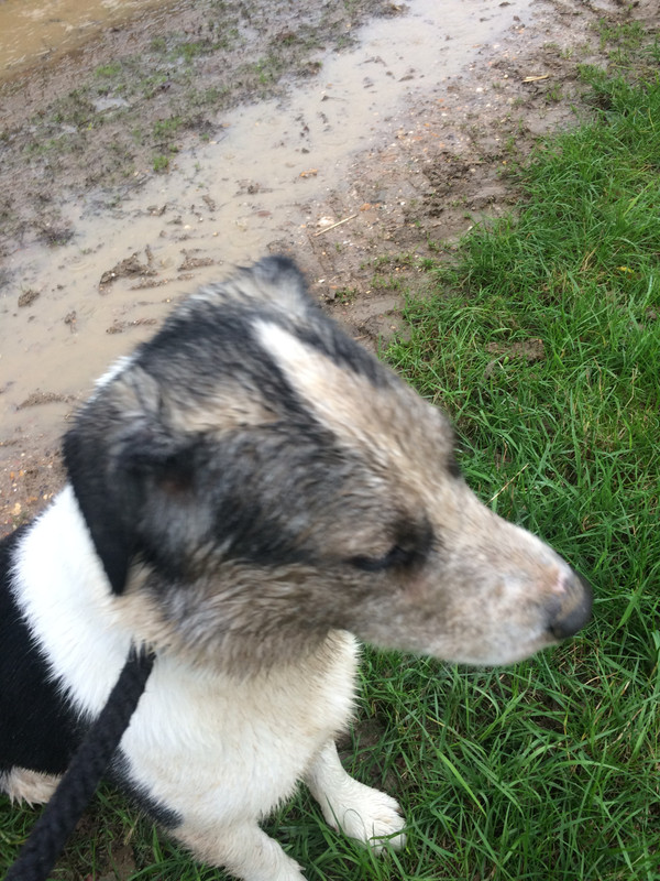 B0C04EFA-6171-49C2-AFA8-14AEB9D16780