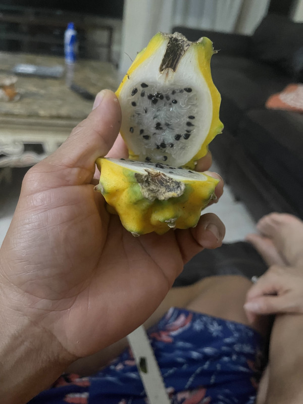 D8CA46A8-48FD-4A26-9EE3-2A65B3ADFD3E