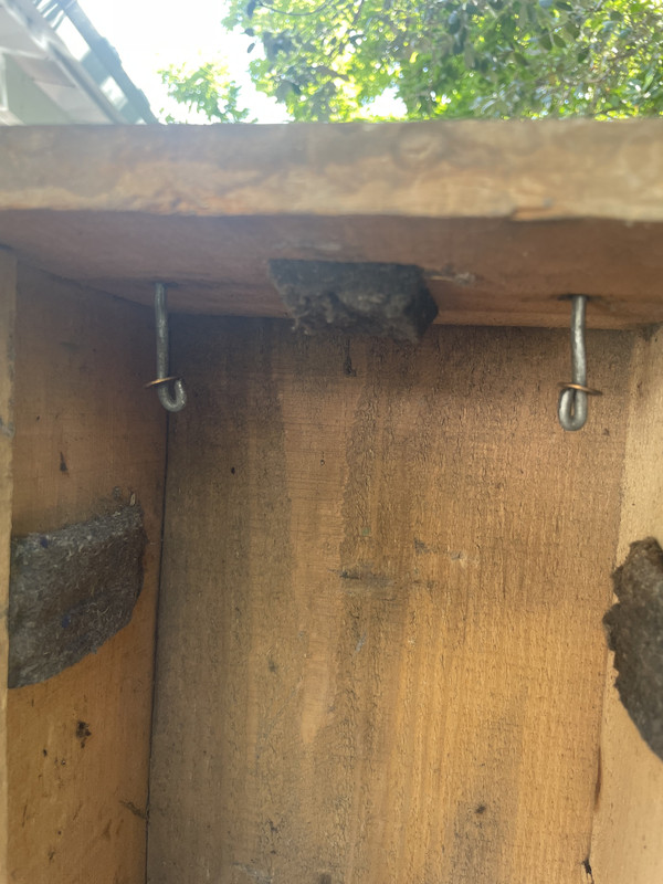 54DB4896-DD4C-48D7-9B0D-6BF903D3CACB