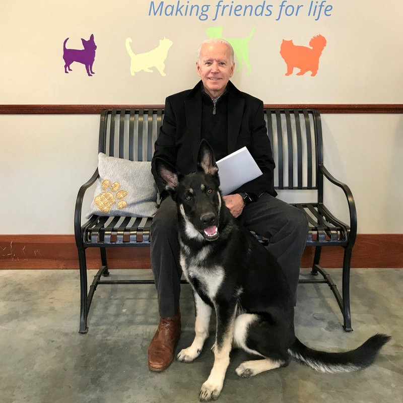Joe Biden da la bienvenida a Commander, su nuevo cachorro