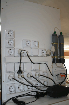 IMG_3691-400.gif