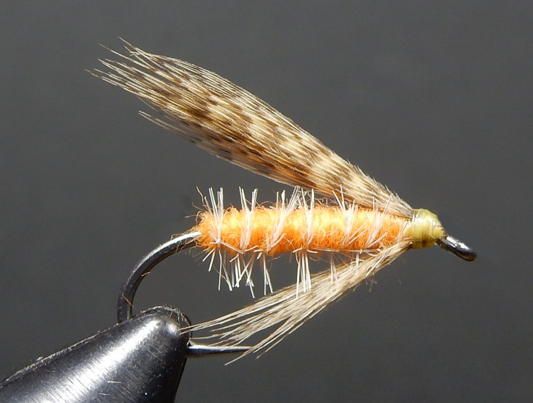Hoagy-s-Little-Orange-Mayfly-1080.jpg