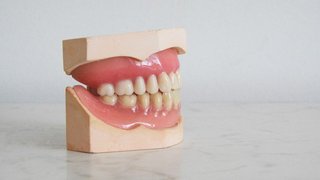 Learn Oral Biology