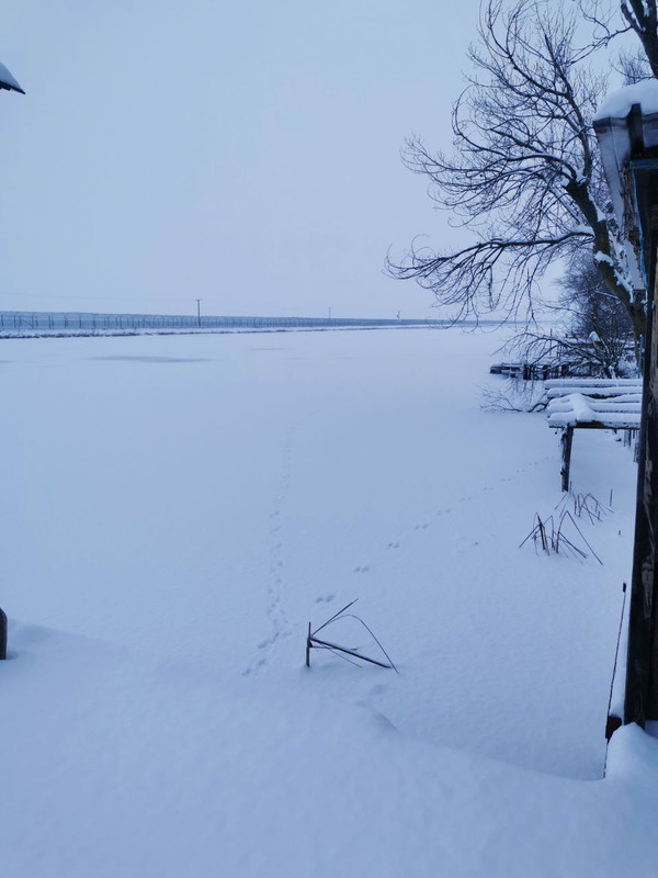 photo 2026 01 10 17 06 18