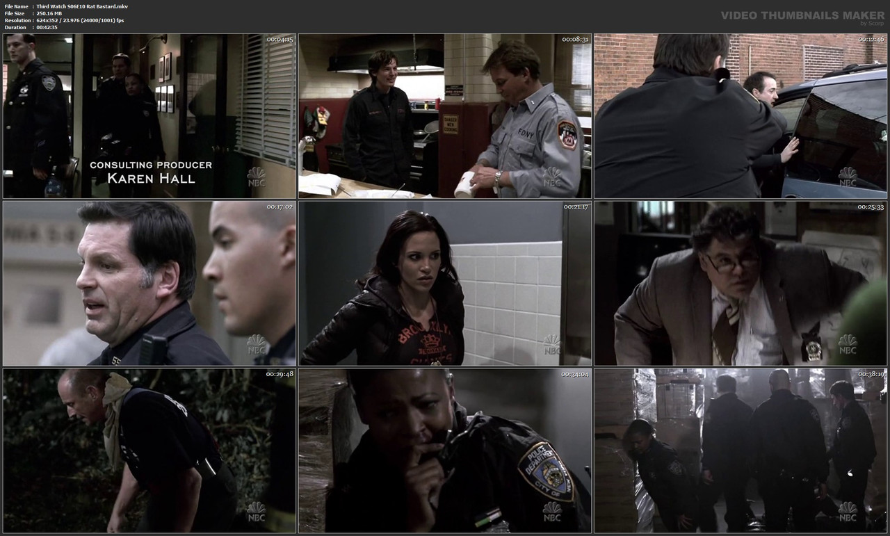 Third Watch S06E10 Rat Bastard.mkv