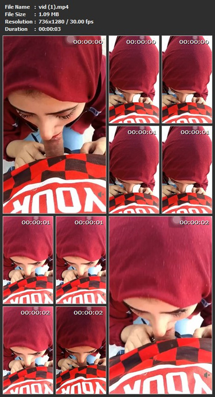 vid (1).mp4