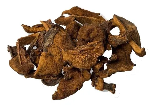 HONGOS DE PINO / CHILENOS X KG
