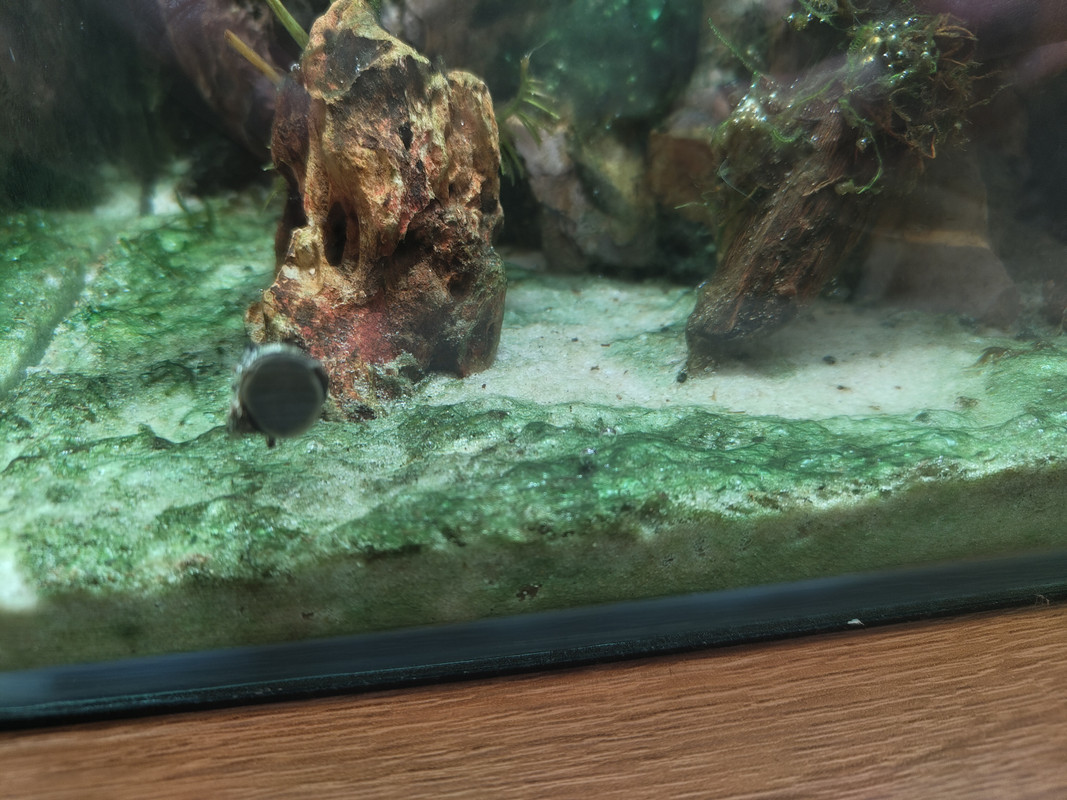 IMG_20240918_190922050