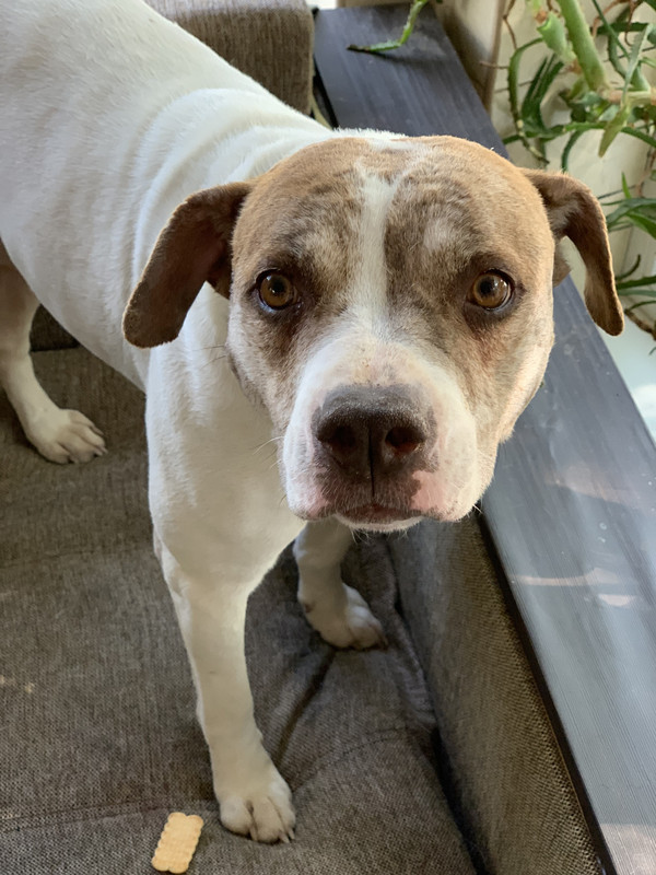 728F8DD0-45CF-47C0-8BB0-707C28886ADC